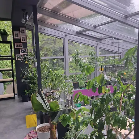 W Domu Z Oranzeria I Sniadaniem