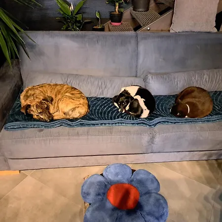 Glamping W Domu Z Oranzeria I Sniadaniem *