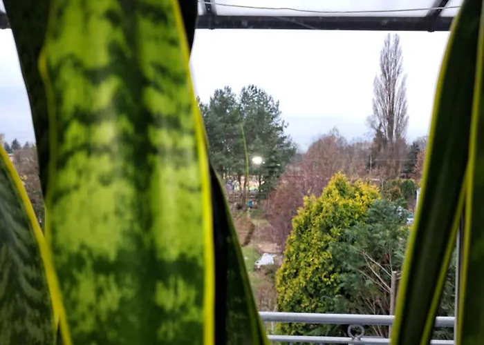 W Domu Z Oranzeria I Sniadaniem