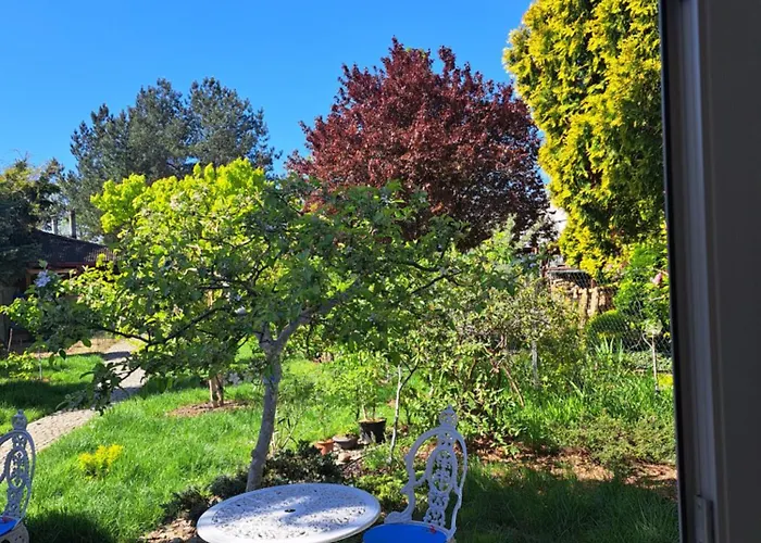 W Domu Z Oranzeria I Sniadaniem Luksustelt Wrocław