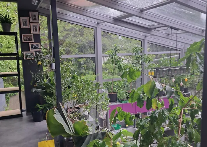 W Domu Z Oranzeria I Sniadaniem