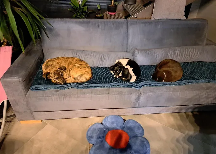 Luxe tent W Domu Z Oranzeria I Sniadaniem *