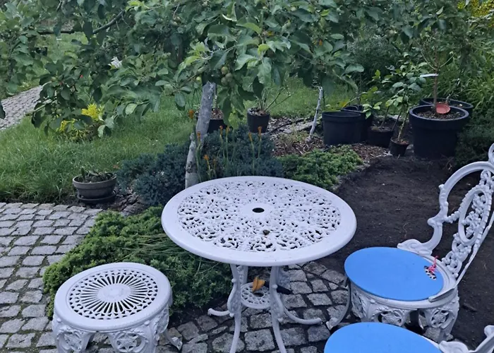 W Domu Z Oranzeria I Sniadaniem *